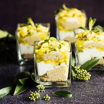 Tropinis čija sėklų pudingas su kokosų kremu