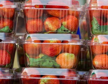 «Dr. Hauschka» очищение, тонизирование и увлажнение — основа здоровой кожи