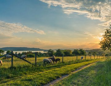 Биодинамическая пища – так ли она странна, как и ее название?