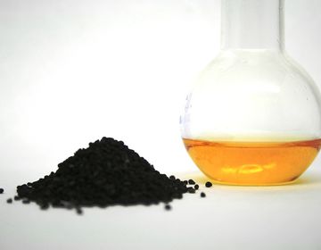 Melno ķimeņu eļļa: ieguvumi, iedarbība un lietošana