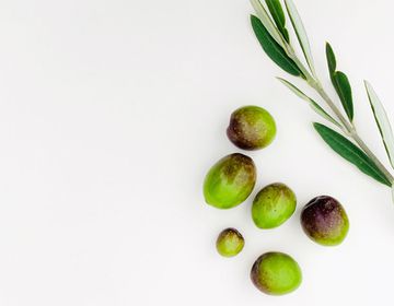 Оливковое масло – актуально всегда