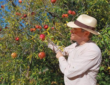 Гранат – источник здоровья