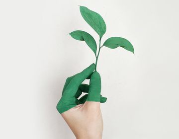 LIVIN - kādi mēs esam? Par draudzīgumu videi