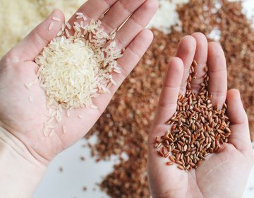 Pasaulio maistas – ryžiai