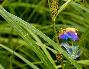 Что такое экологические моющие средства и как их выбрать?