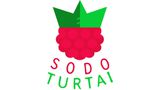 Sodo turtai