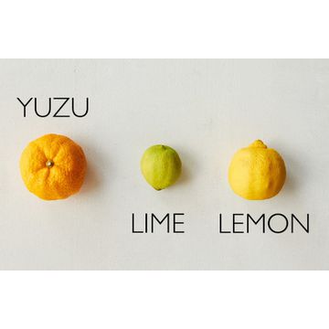 Padažas „Yuzu ponzu“ l Ekologiškas | LIVIN