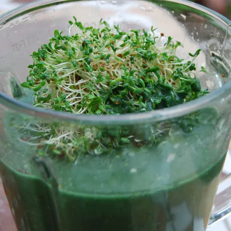 Zaļais kokteilis ar spirulīnu