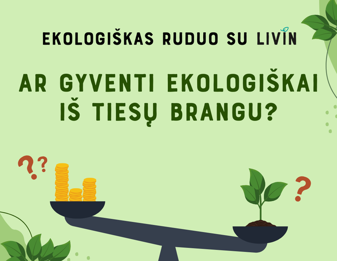 Mitas ar tiesa: ekologiški produktai visada brangūs?