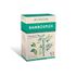 Phytoceutic Bambouflex maisto papildas. 20 ampulių (10-iai dienų)